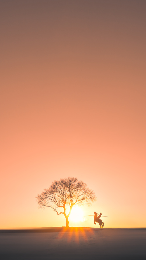 开云体育入口-唯一性，风暴眼中的卡拉斯科，葡萄牙对抗拜仁的孤独利刃