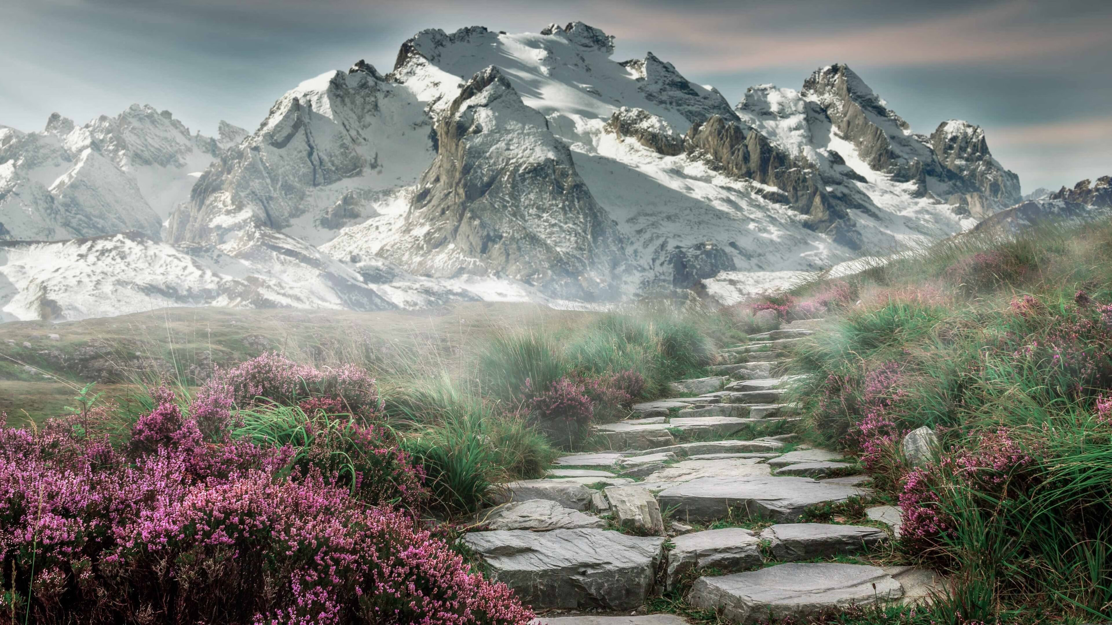 个人的救赎与国家的碾压，当基米希刺穿寂静，澳大利亚掀起海啸