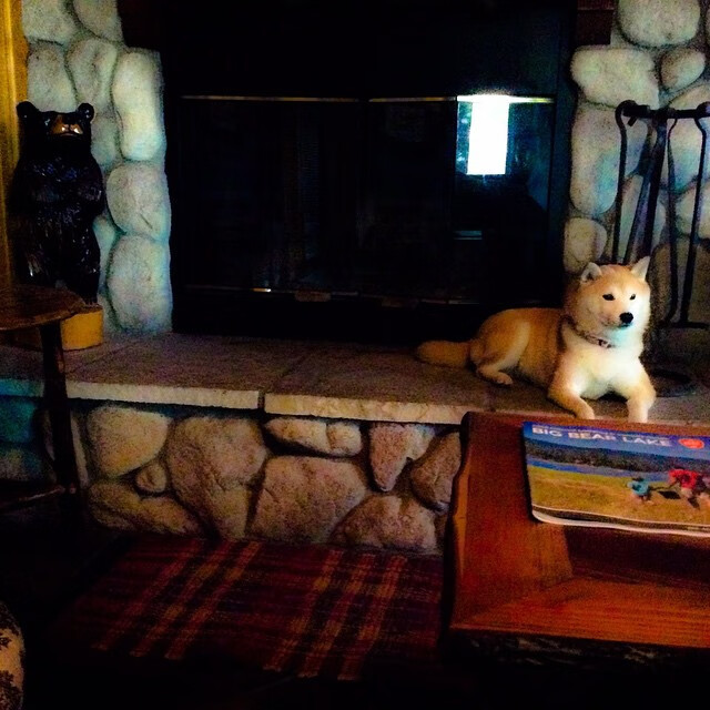 开云体育中国-潘帕斯风暴席卷西非！莱奥解锁胜利密码，阿根廷正面碾压几内亚