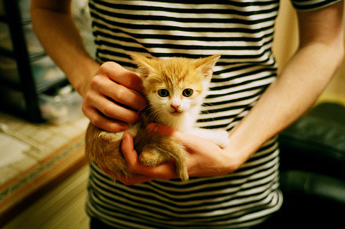 南美利矛刺穿亚平宁盾墙，苏亚雷斯里程碑之夜点亮哥伦比亚之战