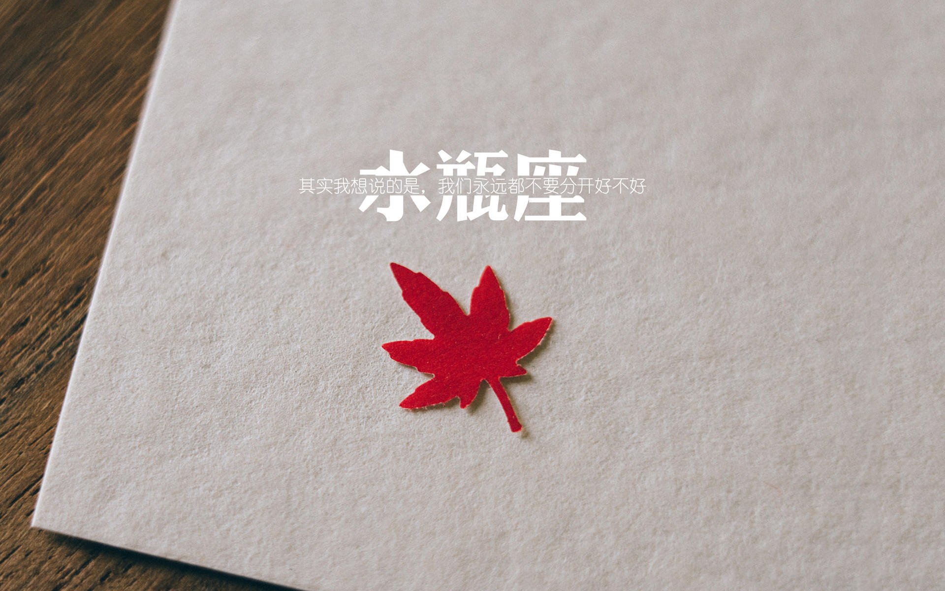 跨界破壁，当福克斯的节奏被东方盾阵瓦解，篮球哲学在此分野