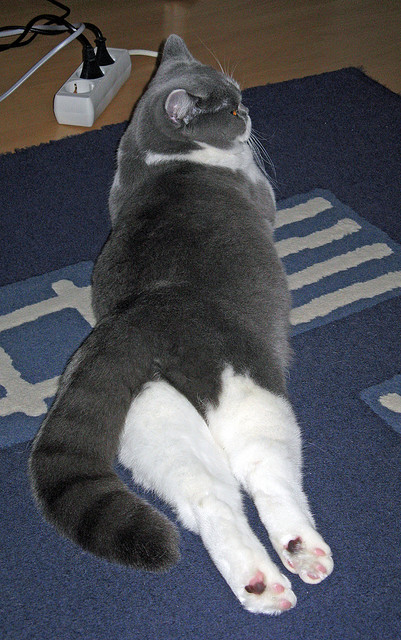 开云体育登录-巨星的熔炉与铁壁的洪流，当马克西的孤峰遇见深圳的群山