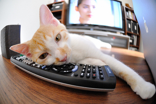 开云sport-冰与火的交响，当贝林厄姆的爆发照亮芬兰节奏的暗码