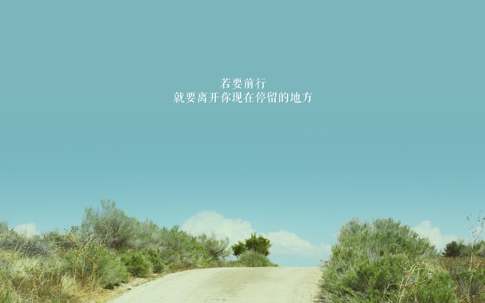 铁血与风暴，当森林狼的防守哲学照亮英超争冠的终极战场