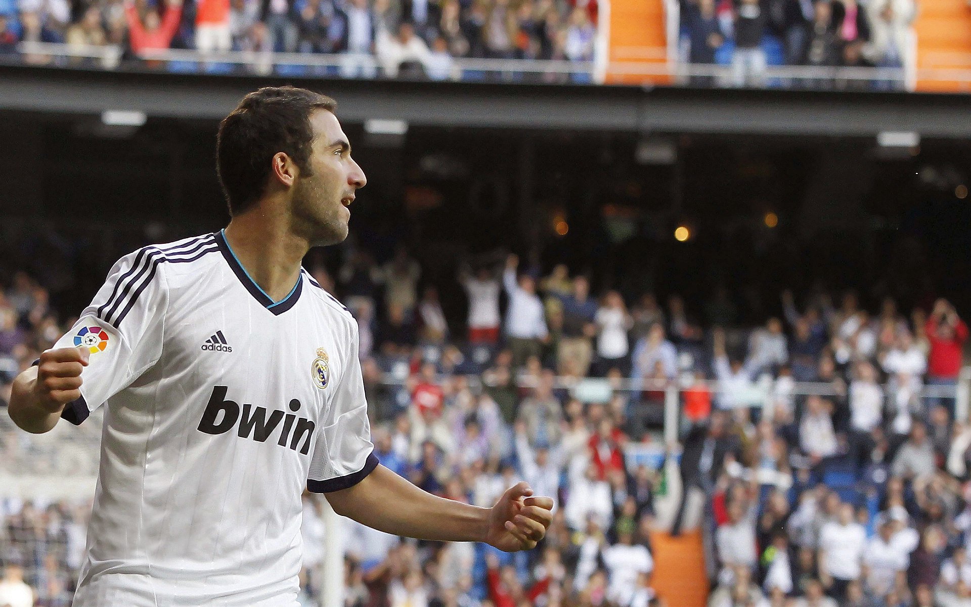 球场的同一种语言