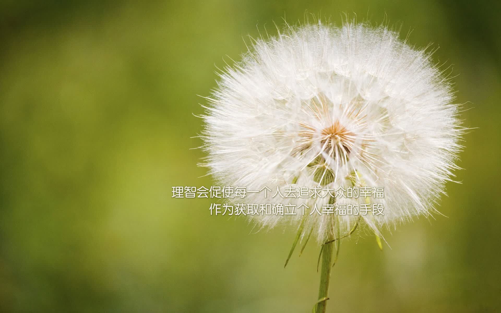 开云体育官网-极昼下的最后黄牌，2026世界杯G组那场唯一的苏亚雷斯献祭