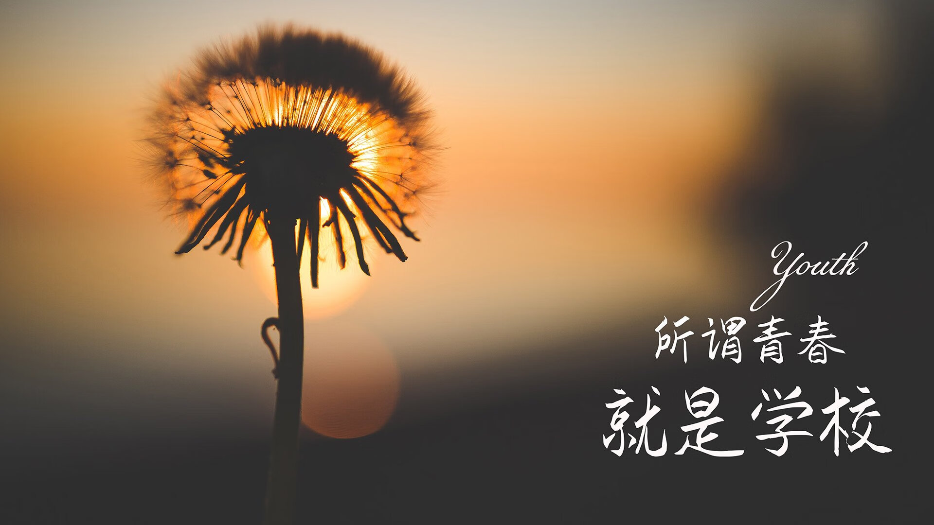 破晓·斗牛士之殇,德布劳内以节奏为刃,在东方朝霞中雕刻世界杯冷门经典