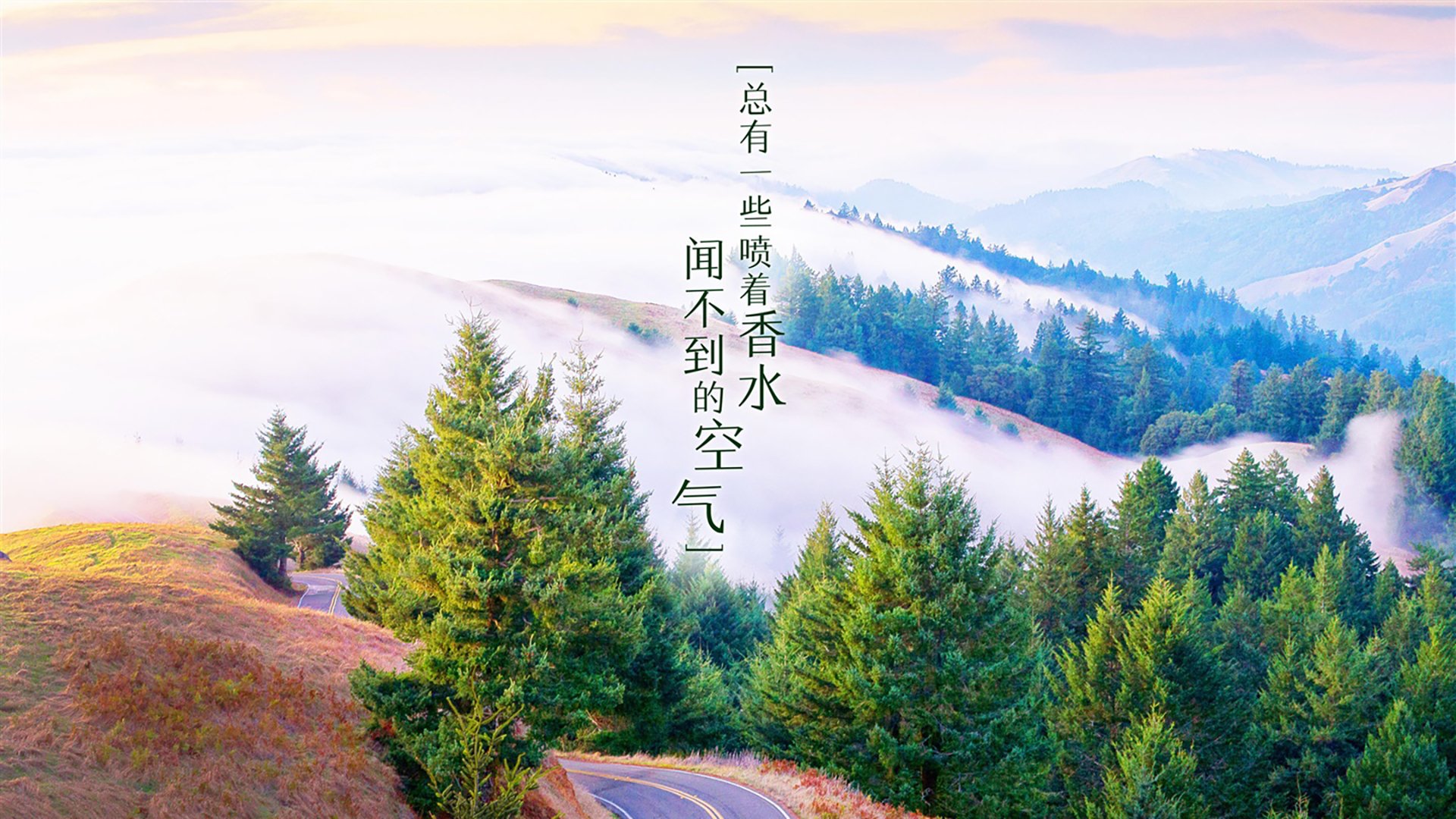开云体育官网-2026世界杯E组生死战，努涅斯上帝之手与冰岛折戟，唯一性定义足球哲学